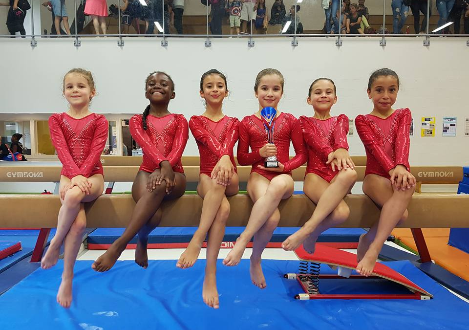 Zone Poussines-Benjamines – GID FSGT 2018