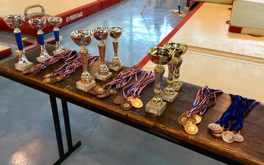 Compétition loisirs du BMS Gym’ 2019