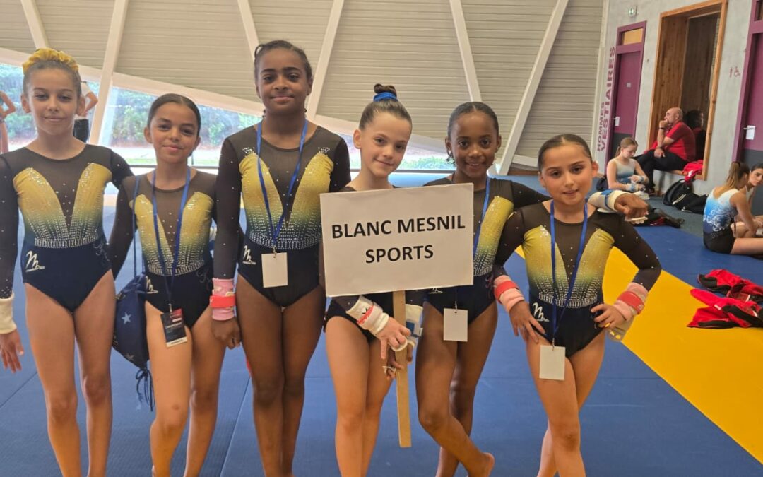Finale des championnats de France par équipe FSGT 2025